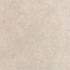 Roman dWellington Sand TGT605750CR 60x60 (tebal 2cm)